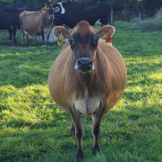 Обратная сторона Земли