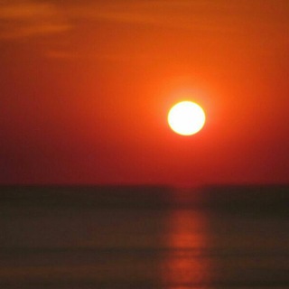 Фаумины фото