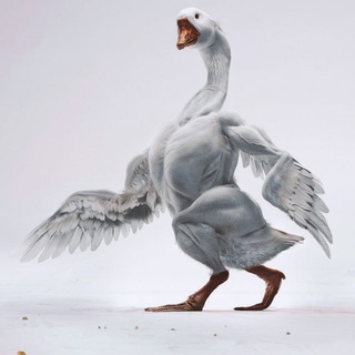 Гусиное перо