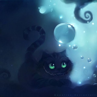 Hao (浩) - 柴郡猫