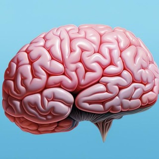 Экзокортекс - Чертоги разума🧠