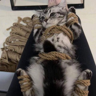 Дом,который построила Крис 🖤