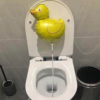 туалетный утенок 🐣