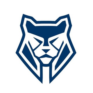 Флорбольный клуб «Ирбис» | Казань