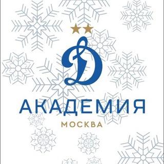 Академия «Динамо» им. Л.И. Яшина