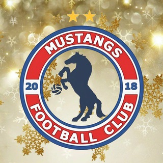 ФК «МУСТАНГИ» 🐎