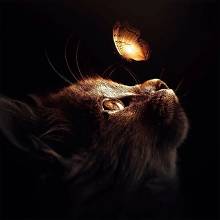 Путь Духовности