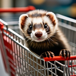 Тележка для хорька