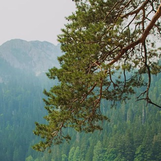 ꒰ ୧ 🌱 Ꭹᴏu drᴇᴀʍs ୨ ꒱