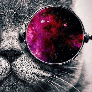 📽️🎶🅜🅤🅢🅘🅒 🅡🅞🅞🅜📽️🎵