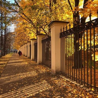 Район Филевский парк