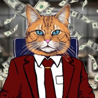 Финансовый Кот
