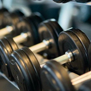 Fitness в Telegram