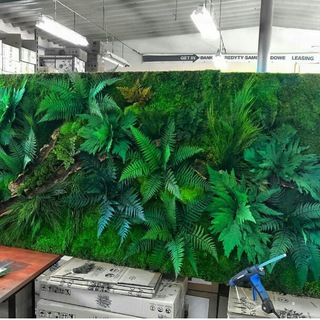 Фитостена. Стабилизированный мох. Озеленение