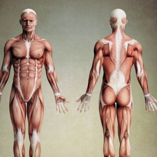 Литература PDF для специалиста по движению