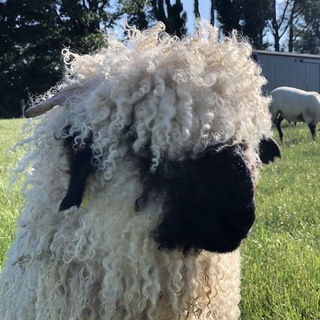 переезд‼️ фларджест