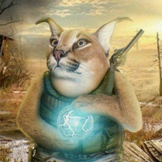 Берлога шлепы