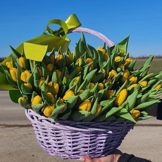 Флориссима Букет