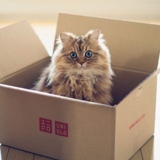 Пушистая коробка