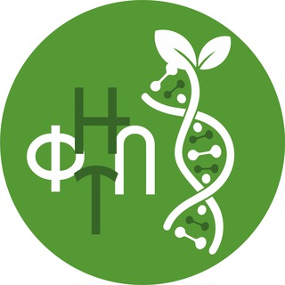 Дирекция ФНТП