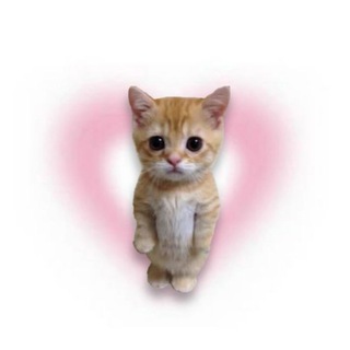 FONAR_WB ll КАНАЛ С ТИК ТОКА