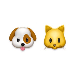 Волонтеры, Фонд «НИКА»