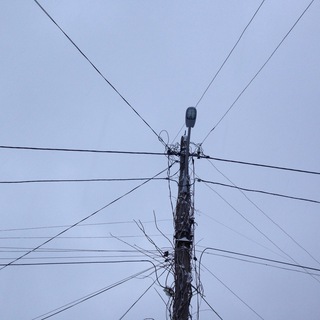 Лесное Хранилище 🌲