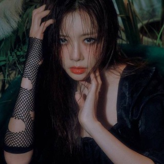 knight of dreamcatcher