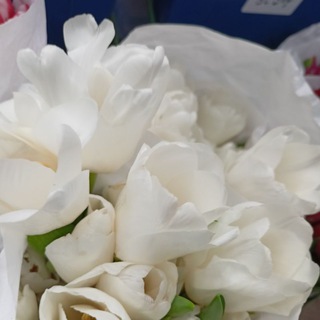 𝗙𝗥𝗘𝗘𝗟𝗔𝗡𝗦 👩🏼‍💻❤