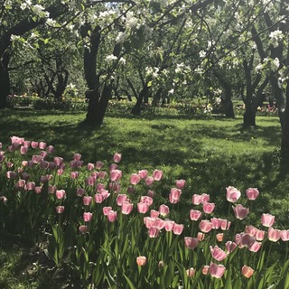 moònlight ♡‧₊˚