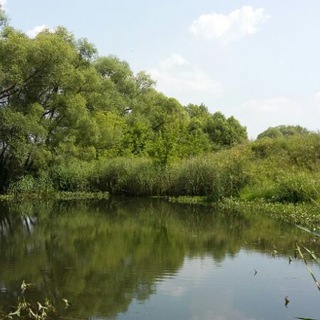 Фото родное