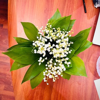 Фото и точка | Z