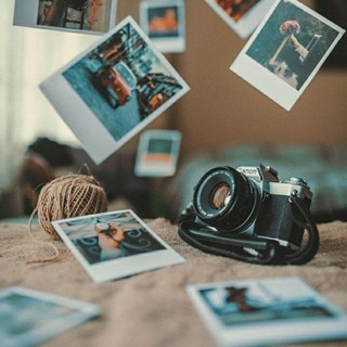 Фото|Картинки|