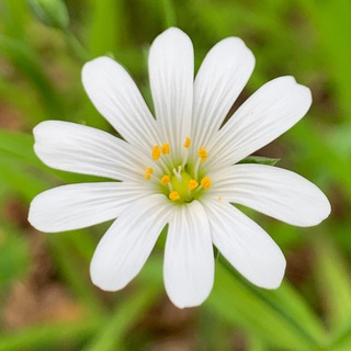 Мое фототворчество