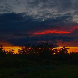 ~•Пиар-канал•~