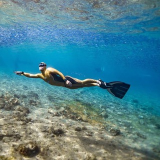 🐬 Алексей Молчанов | Школа Фридайвинга