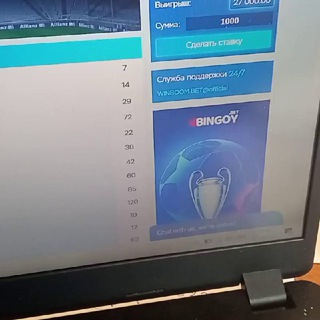 Бесплатные доги на низшие лиги