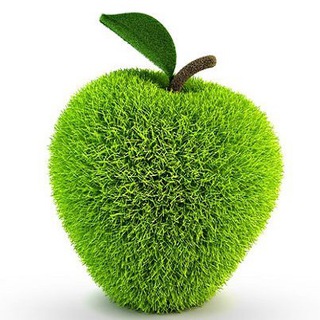 Свежие Клипы