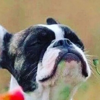 Пятничное настроение