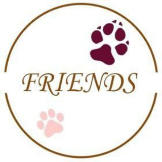 Friends Collar