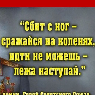 chansibatterflaykartel