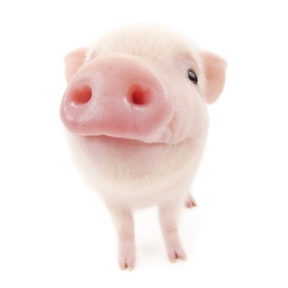 🌸туториалы|плетение из бисера🌸