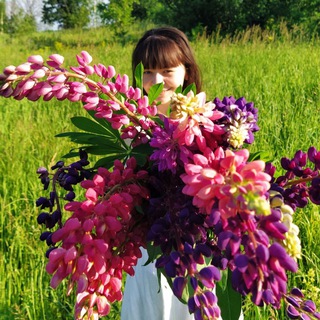 Из Жизни в Жизнь