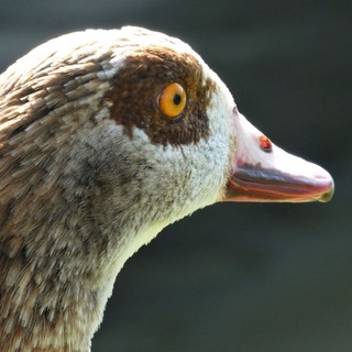 Хэндмейд и лайфхаки ✔️