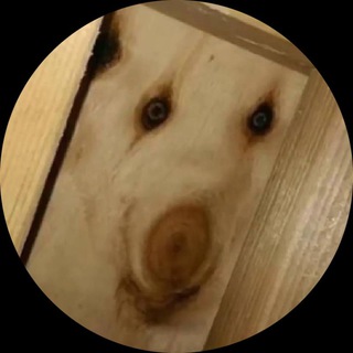 Fun Смех Лучшее