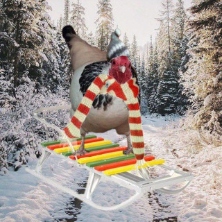 Птичий рынок