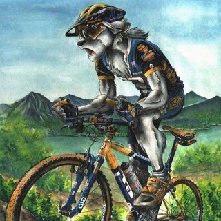 Шерстяные Каталы едут...