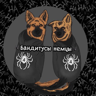 Бандитусы немецкие овчарки