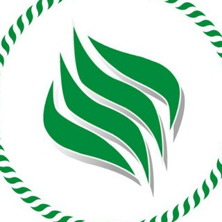 🍀АТЛАНТИС| ГАЗОНЫ🍀