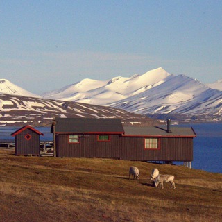 Только качественные карты